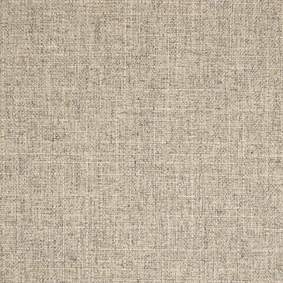 B6768 Mushroom Fabric: D77, ESSENTIALS, ESSENTIAL FABRIC, GRAY, GREY, GRAY WOVEN, NEUTRAL WOVEN, GRAY TEXTURE, NEUTRAL TEXTURE, WOVEN TEXTURE, GRAY SOLID, NEUTRAL SOLID, TEXTURED PLAIN, LINEN LIKE