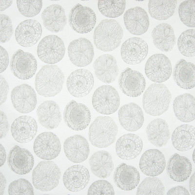 B6897 Pearl Grey Fabric: D79, OUTDOOR, SANDDOLLAR, GRAY SANDDOLAR, NEUTRAL SANDDOLLAR, GREY SANDDOLLLAR, GRAY ANIMAL, BEACH, TROPICAL