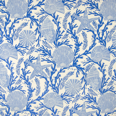 B6927 Sapphire Fabric: D80, OUTDOOR, NOVELTY PRINT, BEACH PRINT, SEASHELLS, INDIGO, NAVY, NAUTICAL
