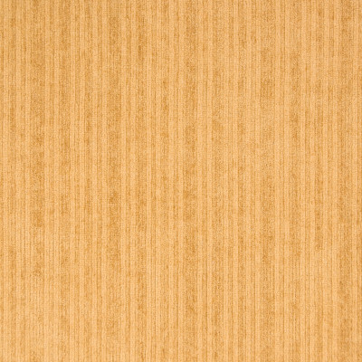 B6978 Antique Gold Fabric: D81, OUTDOOR, OUTDOOR VELVET, STRIE VELVET, INDOOR VELVET, TERRY CLOTH, GOLD, WHEAT, GOLDEN, YELLOW, DARK YELLOW, MUSTARD,WOVEN