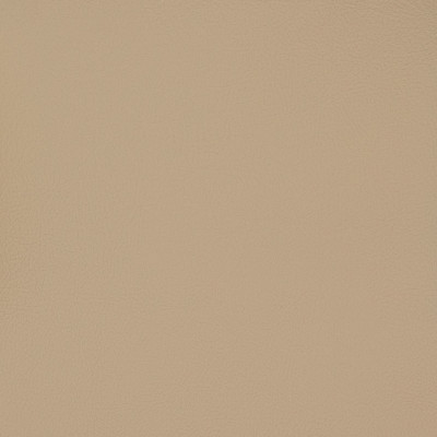 B6993 Taupe Fabric: E12, MGX, MORGUARD, CONTRACT, HOSPITALITY, RESIDENTIAL, FMVSS, CONTRACT VINYL, OFFICE VINYL, RESTAURANT VINYL, HOSPITALITY VINYL, AUTOMOTIVE, AUTO, CARS, RV, COMMERCIAL VINYL, EASY TO CLEAN FINISH APPLIED, PROTECTED FINISH VINYL