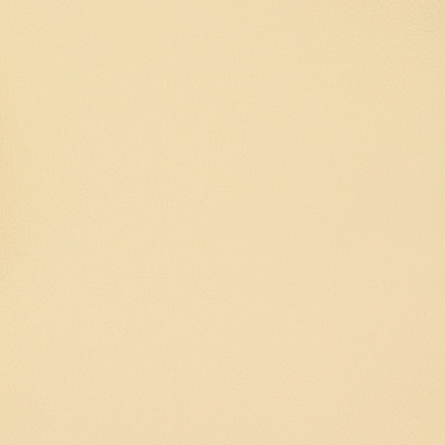 B6995 Country Fabric: E11, MGX, MORGUARD, CONTRACT, HOSPITALITY, RESIDENTIAL, FMVSS, CONTRACT VINYL, OFFICE VINYL, RESTAURANT VINYL, HOSPITALITY VINYL, AUTOMOTIVE, AUTO, CARS, RV, COMMERCIAL VINYL, EASY TO CLEAN FINISH APPLIED, PROTECTED FINISH VINYL