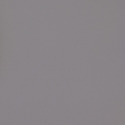 B7011 Cool Grey Fabric: E12, MGX, MORGUARD, CONTRACT, HOSPITALITY, RESIDENTIAL, FMVSS, CONTRACT VINYL, OFFICE VINYL, RESTAURANT VINYL, HOSPITALITY VINYL, AUTOMOTIVE, AUTO, CARS, RV, COMMERCIAL VINYL, EASY TO CLEAN FINISH APPLIED, PROTECTED FINISH VINYL