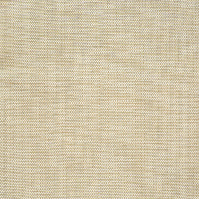 B7316 Raffia Fabric: S12, D89, WOVEN TEXTURE, SOLID WOVEN, BEIGE, GOLDEN, SANDY HUES, WHEAT