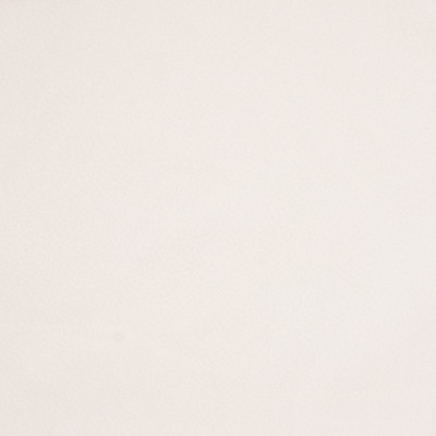 B7427 Eggshell Fabric: E30, D93, OFF WHITE SOLID, IVORY SOLID, SOFT EGGSHELL, VANILLA SOLID, WOVEN