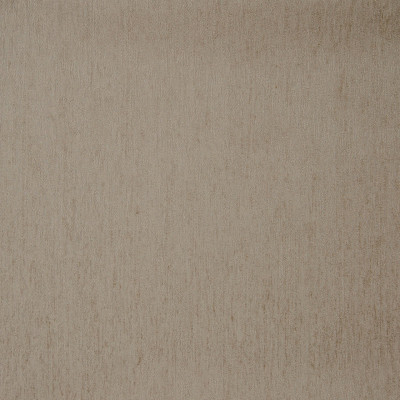 B7509 Oyster Fabric: