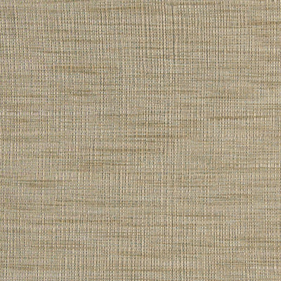B7755 Driftwood Fabric: D98, RAW SILK LOOK, FAUX SILK LOOK, MOCHA, CAPPUCINO, DRAPERY WEIGHT, NEUTRAL, STRIE WOVEN