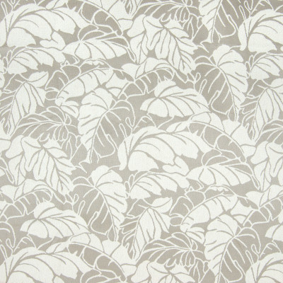 B7798 Marble Fabric: E01, LEAF, LARGE SCALE LEAF, NEUTRAL LEAF, KHAKI LEAF, BEIGE LEAF, PERFORMANCE FABRICS, REVOLUTION PERFORMANCE FABRICS, REVOLUTION FABRICS, BLEACH CLEANABLE, STAIN RESISTANT,FOLIAGE