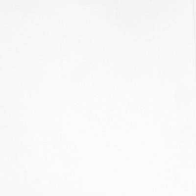 B8118 Snow Fabric: E42, E06, SOLID WHITE WOVEN, WOVEN SOLID, SOLID WHITE, SNOW WHITE, BLEACH WHITE