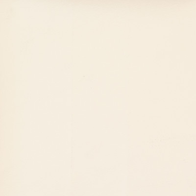 B8365 Glacier Fabric: E11, SOLID VINYL, VINYL, CONTRACT VINYL, COMMERCIAL VINYL, HEAVY DUTY VINYL, BISQUE VINYL, OFF WHITE VINYL, LIGHT SAND VINYL, MILDEW RESISTANT, ANTIBACTERIAL, ANTIMICROBIAL RESISTANT, AUTOMOTIVE, AUTO, RV, ATV, INTERIOR MARINE, EXTERIOR MARINE