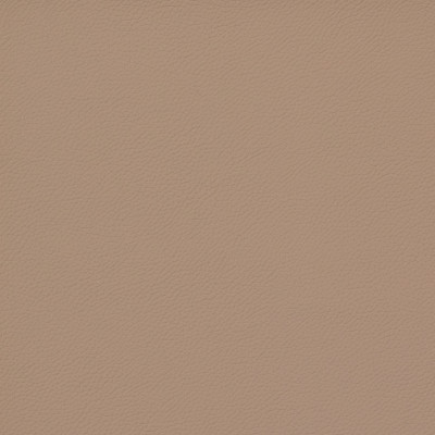B8367 Sandalwood Fabric: E11, SOLID VINYL, VINYL, CONTRACT VINYL, COMMERCIAL VINYL, HEAVY DUTY VINYL, BISQUE VINYL, TAUPE VINYL, KHAKI VINYL, AUTOMOTIVE, HEALTHCARE VINYL, HOSPITALITY, CORPORATE VINYL, OFFICE VINYL