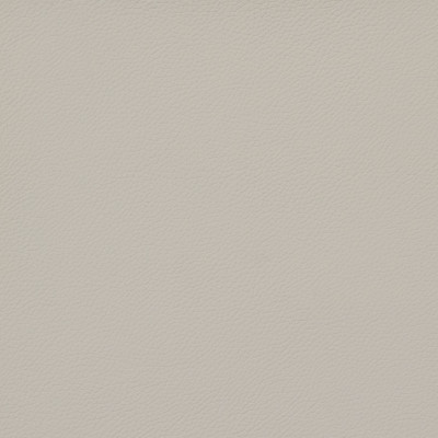 B8370 Light Grey Fabric: E11, SOLID VINYL, VINYL, CONTRACT VINYL, COMMERCIAL VINYL, HEAVY DUTY VINYL, MEDIUM GRAY VINYL, LIGHT GRAY VINYL, MEDIUM GREY VINYL, STONE, AUTOMOTIVE, HEALTHCARE VINYL, HOSPITALITY, CORPORATE VINYL, OFFICE VINYL