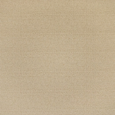 B8481 Eggshell Fabric: