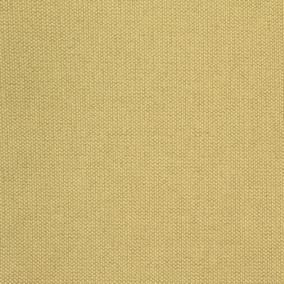 B8580 Apple Fabric: E15, CRYPTON HOME, CRYPTON FINISH, CRYPTON PERFORMANCE FABRIC, PERFORMANCE FABRIC, ANTI-MICROBIAL, EASY TO CLEAN FABRIC, PET FRIENDLY FABRIC, KID FRIENDLY FABRIC, GREENGUARD CERTIFIED