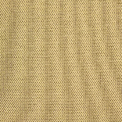 B8581 Camel Fabric: E15, CRYPTON HOME, CRYPTON FINISH, CRYPTON PERFORMANCE FABRIC, PERFORMANCE FABRIC, ANTI-MICROBIAL, EASY TO CLEAN FABRIC, PET FRIENDLY FABRIC, KID FRIENDLY FABRIC, GREENGUARD CERTIFIED