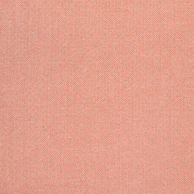 B8584 Guava Fabric: