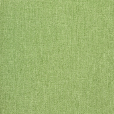 B8643 Overt Green Fabric: E16, CRYPTON HOME, PERFORMANCE CRYPTON, CRYPTON PERFORMANCE, EASY TO CLEAN FABRIC, PET FRIENDLY FABRIC, KID FRIENDLY FABRIC, PERFORMANCE FABRIC, GREENGUARD CERTIFIED