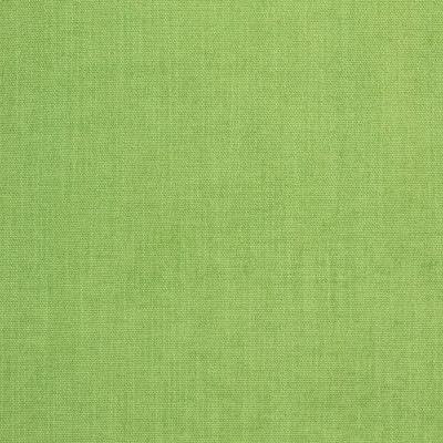 B8644 Greenery Fabric: E16, CRYPTON HOME, PERFORMANCE CRYPTON, CRYPTON PERFORMANCE, EASY TO CLEAN FABRIC, PET FRIENDLY FABRIC, KID FRIENDLY FABRIC, PERFORMANCE FABRIC, GREENGUARD CERTIFIED