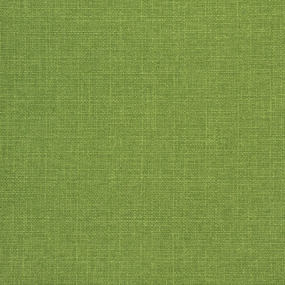 B8645 Wasabi Fabric: E16, CRYPTON HOME, PERFORMANCE CRYPTON, CRYPTON PERFORMANCE, EASY TO CLEAN FABRIC, PET FRIENDLY FABRIC, KID FRIENDLY FABRIC, PERFORMANCE FABRIC, GREENGUARD CERTIFIED