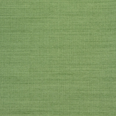 B8646 Clover Fabric: E16, CRYPTON HOME, PERFORMANCE CRYPTON, CRYPTON PERFORMANCE, EASY TO CLEAN FABRIC, PET FRIENDLY FABRIC, KID FRIENDLY FABRIC, PERFORMANCE FABRIC, GREENGUARD CERTIFIED