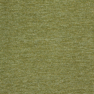 B8649 Avocado Fabric: