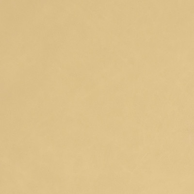 B8691 Desert Fabric: L12, NEUTRAL LEATHER, BEIGE LEATHER, KHAKI LEATHER HIDE, TAUPE LEATHER HIDE