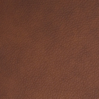 B8698 Brick Fabric: L12, REDDISH BROWN LEATHER HIDE, RED LEATHER HIDE, BROWN LEATHER HIDE, RED TONED HIDE, RED LEATHER