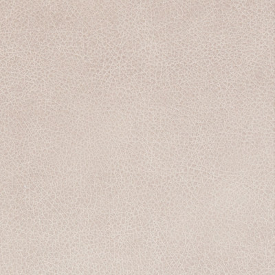 B8732 Fog Fabric: L12, LIGHT GREY LEATHER, LIGHT GRAY LEATHER, GRAY LEATHER, GREY LEATHER HIDE, SMOKE, FOG, STONE