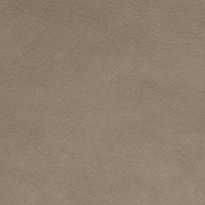 B8735 Granite Fabric: L12, GRAY LEATHER HIDE, GREY LEATHER HIDE, SMOKY GRAY LEATHER, STONE, GRANITE