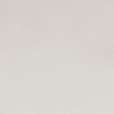 B8740 Fog Fabric: L12, LIGHT GREY LEATHER, LIGHT GRAY LEATHER, GRAY LEATHER, GREY LEATHER HIDE, SMOKE, FOG, STONE