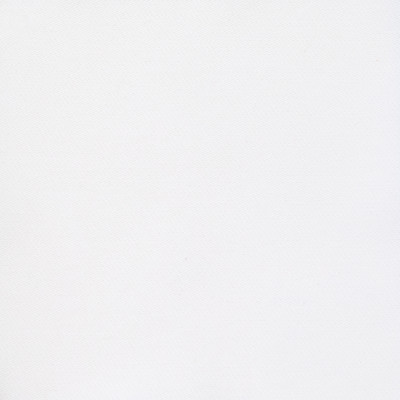 B8763 Snow Fabric: E17, WHITE WOVEN, SOLID WHITE, SNOW WHITE, OUTDOOR PERFORMANCE, PERFORMANCE FABRIC, BLEACH CLEANABLE, BLEACH WHITE OUTDOOR, MILDEW RESISTANCE, MILDEW RESISTANCE, DURABLE OUTDOOR FABRIC, UV RESISTANT, SOLID TWILL, TWILL, 100% HIGH UV COMMERCIAL GRADE POLYESTER
