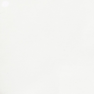 B8765 Canvas Fabric: E17, OFF WHITE WOVEN, BLEACHED CANVAS, OUTDOOR PERFORMANCE, PERFORMANCE FABRIC, BLEACH CLEANABLE, MILDEW RESISTANCE, MILDEW RESISTANT, DURABLE OUTDOOR FABRIC, UV RESISTANT, SOLID TWILL, TWILL, 100% HIGH UV COMMERCIAL GRADE POLYESTER