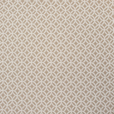 B8820 Linen Fabric: E18, OUTDOOR FABRIC, INDOOR / OUTDOOR FABRIC, OUTDOOR PERFORMANCE FABRIC, BLEACH CLEANABLE, UV RESISTANT, ANTI-MICROBIAL, STAIN RESISTANT