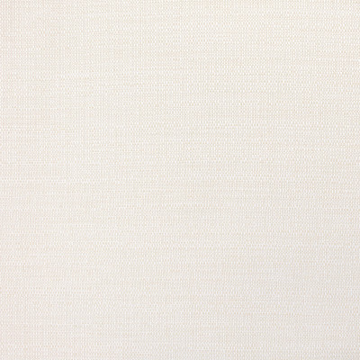 B8823 Swan Fabric: E18, OUTDOOR FABRIC, INDOOR/OUTDOOR FABRIC, OUTDOOR PERFORMANCE FABRIC, BLEACH CLEANABLE, UV RESISTANT, ANTIMICROBIAL, STAIN RESISTANT