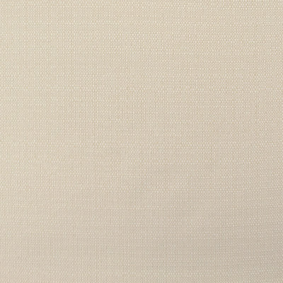 B8837 Reed Fabric: E18, OUTDOOR FABRIC, INDOOR/OUTDOOR FABRIC, OUTDOOR PERFORMANCE FABRIC, BLEACH CLEANABLE, UV RESISTANT, ANTIMICROBIAL, STAIN RESISTANT