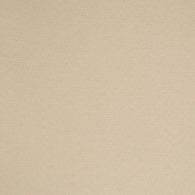 B8844 Linen Fabric: E18, OUTDOOR FABRIC, INDOOR / OUTDOOR FABRIC, OUTDOOR PERFORMANCE FABRIC, BLEACH CLEANABLE, UV RESISTANT, ANTI-MICROBIAL, STAIN RESISTANT