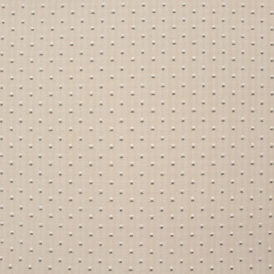 B8850 Linen Fabric: E18, OUTDOOR FABRIC, INDOOR/OUTDOOR FABRIC, OUTDOOR PERFORMANCE FABRIC, BLEACH CLEANABLE, UV RESISTANT, ANTIMICROBIAL, STAIN RESISTANT