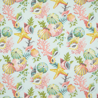 B8884 Seamist Fabric: E19, , STAIN RESISTANT, OUTDOOR FABRIC, INDOOR / OUTDOOR FABRIC, FAMILY FRIENDLY FABRIC, FADE RESISTANT UP TO 500 HOURS OF DIRECT SUN EXPOSURE, SHELL, SHELLS, SEASHELLS