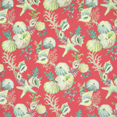 B8894 Mai Tai Fabric: E19, , STAIN RESISTANT, OUTDOOR FABRIC, INDOOR / OUTDOOR FABRIC, FAMILY FRIENDLY FABRIC, FADE RESISTANT UP TO 500 HOURS OF DIRECT SUN EXPOSURE, SHELL, SHELLS, SEASHELLS
