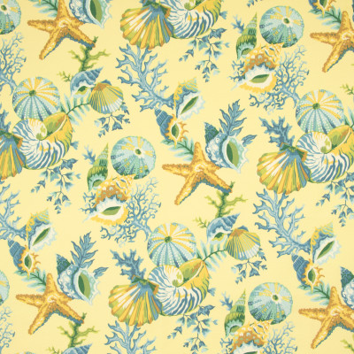 B8909 Buttercream Fabric: E19, STAIN RESISTANT, OUTDOOR FABRIC, INDOOR / OUTDOOR FABRIC, FAMILY FRIENDLY FABRIC, FADE RESISTANT UP TO 500 HOURS OF DIRECT SUN EXPOSURE, SHELL, SHELLS, SEASHELLS