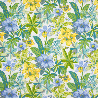 B8910 Spring Water Fabric: E19, STAIN RESISTANT, OUTDOOR FABRIC, INDOOR / OUTDOOR FABRIC, FAMILY FRIENDLY FABRIC, FADE RESISTANT UP TO 500 HOURS OF DIRECT SUN EXPOSURE