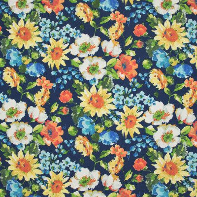 B8921 Caspian Fabric: E19, , STAIN RESISTANT, OUTDOOR FABRIC, INDOOR / OUTDOOR FABRIC, FAMILY FRIENDLY FABRIC, FADE RESISTANT UP TO 500 HOURS OF DIRECT SUN EXPOSURE