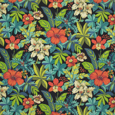 B8922 Rainforest Fabric: E19, , STAIN RESISTANT, OUTDOOR FABRIC, INDOOR / OUTDOOR FABRIC, FAMILY FRIENDLY FABRIC, FADE RESISTANT UP TO 500 HOURS OF DIRECT SUN EXPOSURE