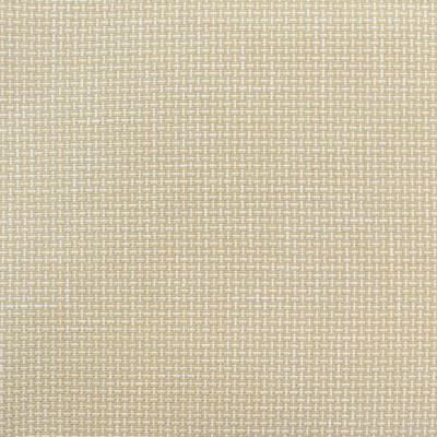 B9025 Citron Fabric:
