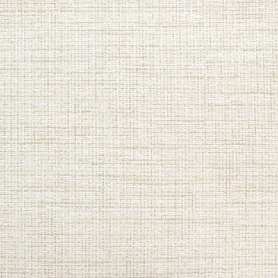 B9128 Snowy Fabric: E24, OFF WHITE TEXTURE, NEUTRAL TEXTURE, IVORY TEXTURE, CHUNKY TEXTURE