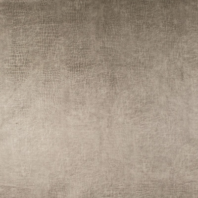 B9157 Champagne Fabric: E24, ANIMAL SKIN, SKIN VELVET, VELVET SKIN