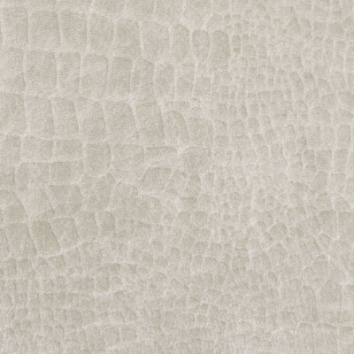 B9170 Coconut Fabric: E25, ANIMAL SKIN VELVET, SOLID SKIN VELVET, TEXTURE VELVET, SKINNED VELVET