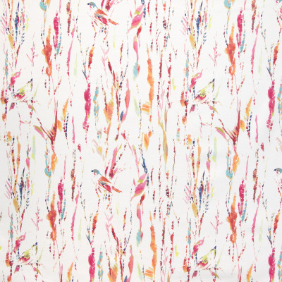 B9383 Fruit Punch Fabric: E29, CONTEMPORARY COTTON PRINT, WORLDLY INSPIRED PRINT, GLOBALLY INSPIRED PRINT, CONTEMPORARY STYLE, ANIMAL, BIRD