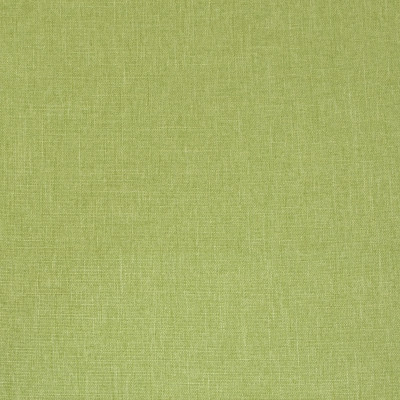 B9693 Apple Green Fabric: E38, GREEN WOVEN, APPLE GREEN WOVEN, SOLID GREEN, TEXTURED GREEN, APPLE GREEN