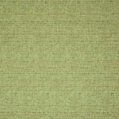 B9877 Absinthe Fabric: